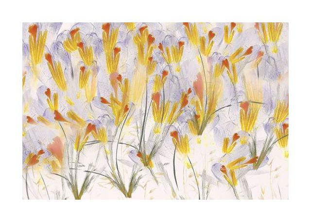 Spring Feeling