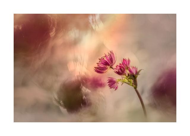 Soft And Light
