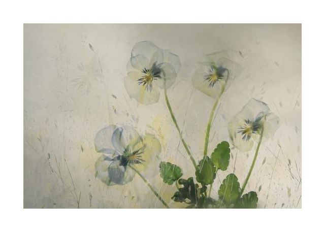 Small Violets