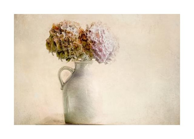 Dry Bouquet