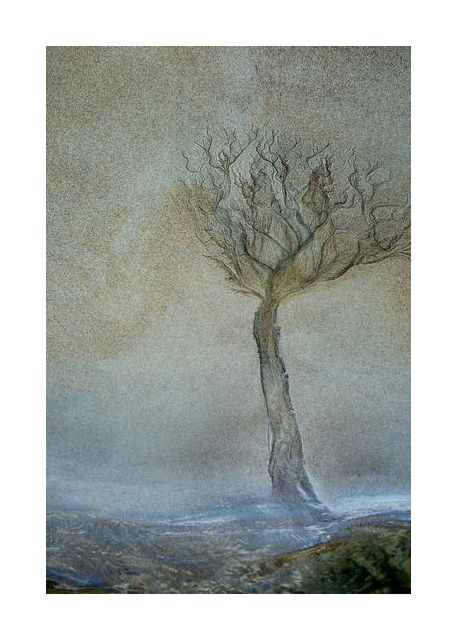 Lonely Tree