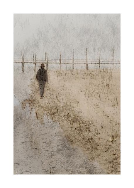 Beach Walk