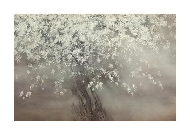Stars Of Spring