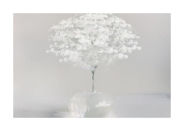 Innocent White