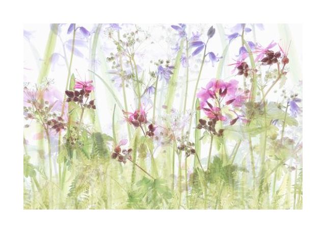 Between The Grasses
