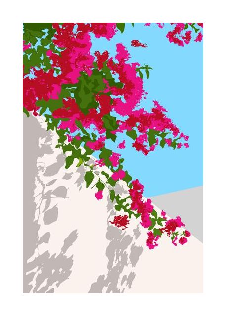 Bougainvillea Blossom